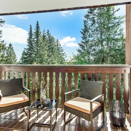 2 Bedroom Tokio And Sauna, 100m To And Bikepark Winterberg